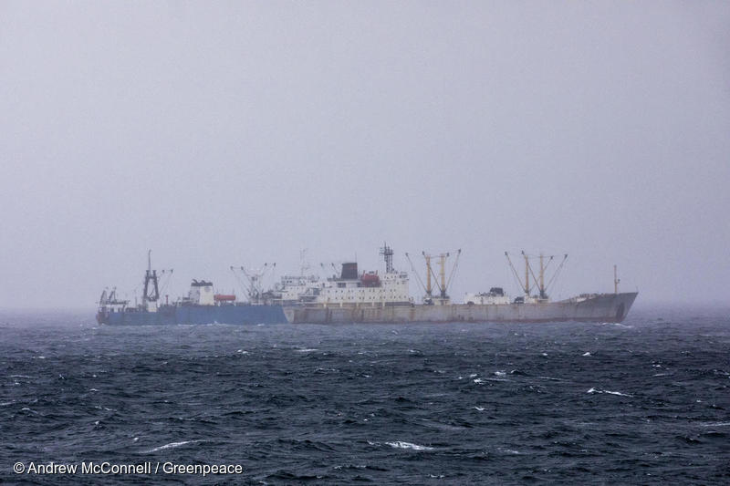 Fishing Boat Operations in Antarctica