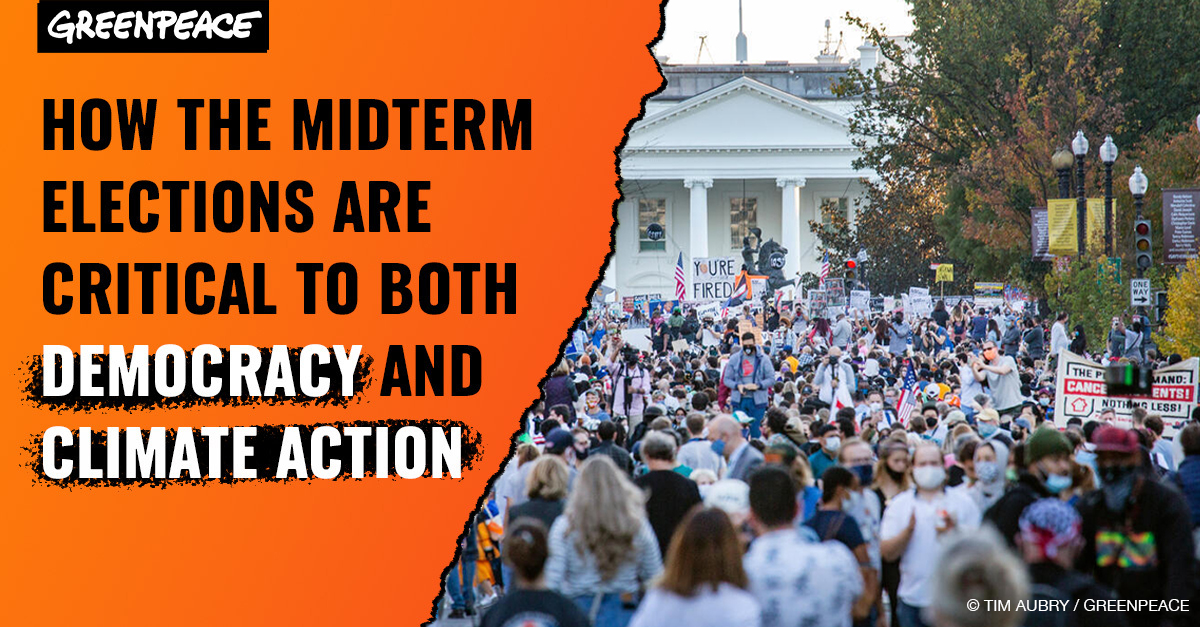 Democracy1031