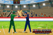 World cup cricket fight