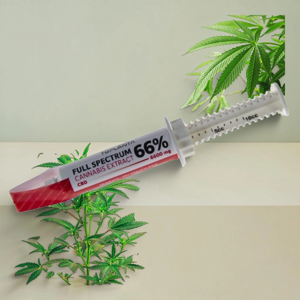 ToPlanta Pasta konopna Full Spectrum CBD 66% 12 g