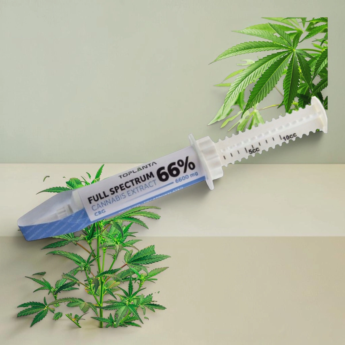 ToPlanta Pasta konopna Full Spectrum CBG 66% 12 g