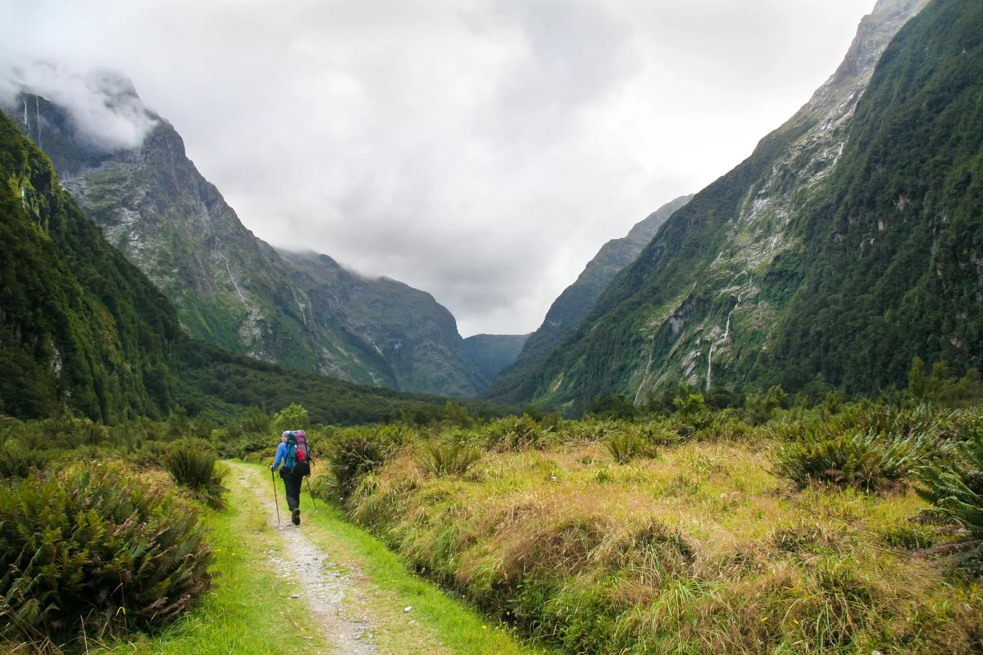 Hiking in Milford Track