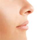 rhinoplasty.png