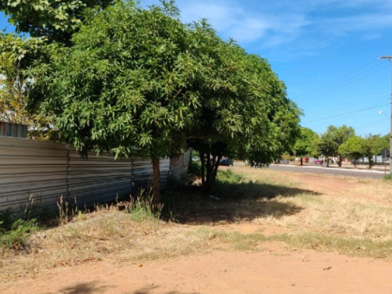 QUADRA ARNO 42 ALAMEDA 6, S/N, LOTE APM-09