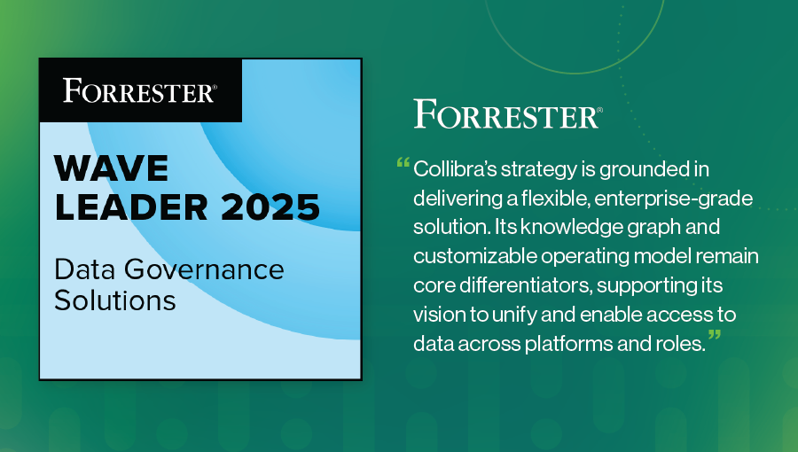 Forrester Wave Data Governance Solutions 2025