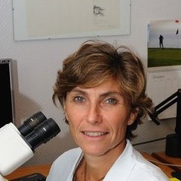Prof. Valérie Paradis, MD,PhD