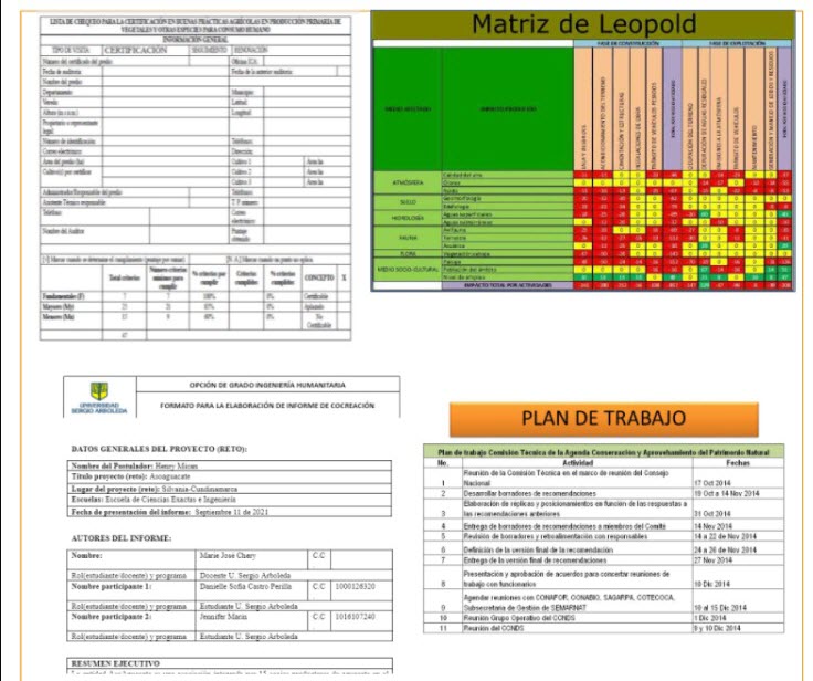 Hoja de resumen Asoaguacate 2021-2