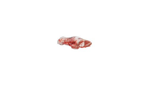 lamb