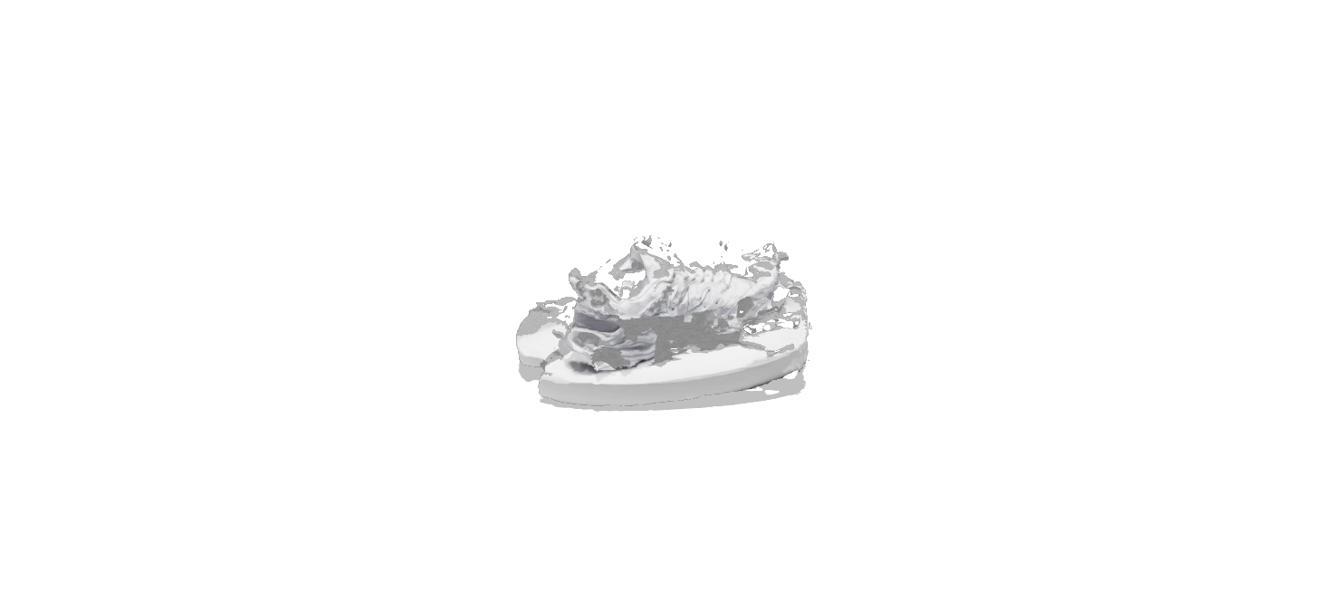 shoe