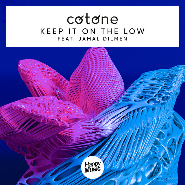 Couverture de Keep It on the Low