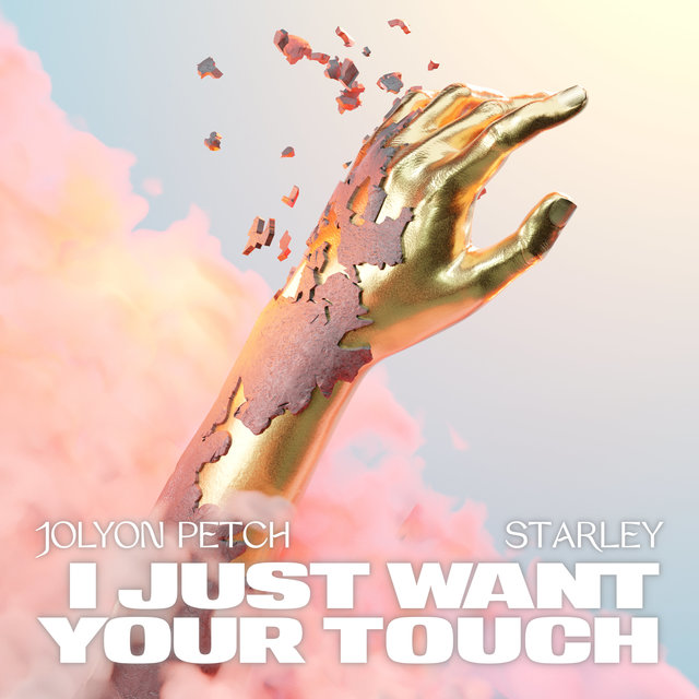 Couverture de I Just Want Your Touch