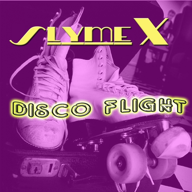 Couverture de Disco Flight