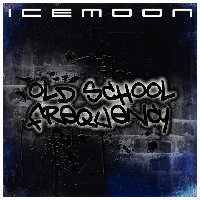 Couverture de Old School Frequency