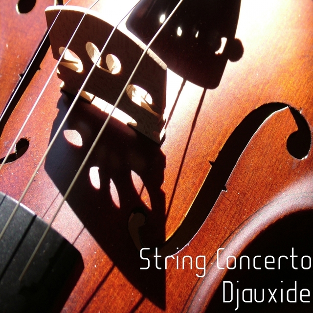 Couverture de String Concerto