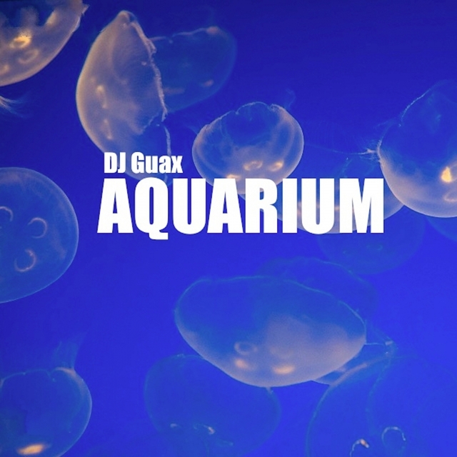 Aquarium