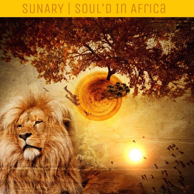 Couverture de Soul'd In Africa