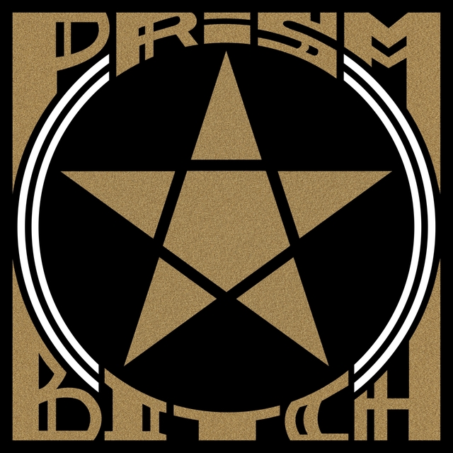 Couverture de Prism Bitch