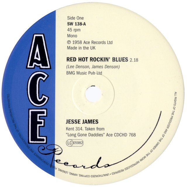 Red Hot Rockin' Blues / The South's Gonna Rise Again