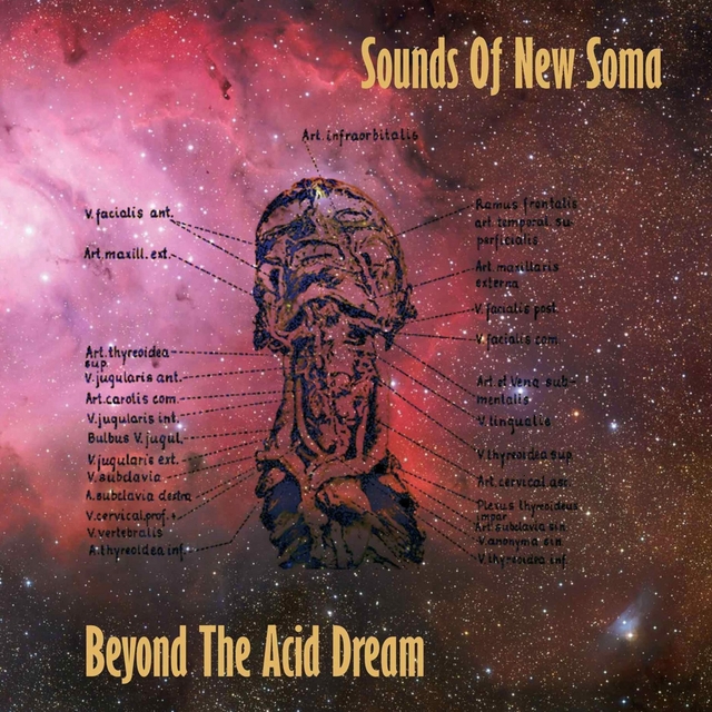 Couverture de Beyond the Acid Dream