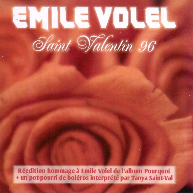 Couverture de Saint Valentin 96