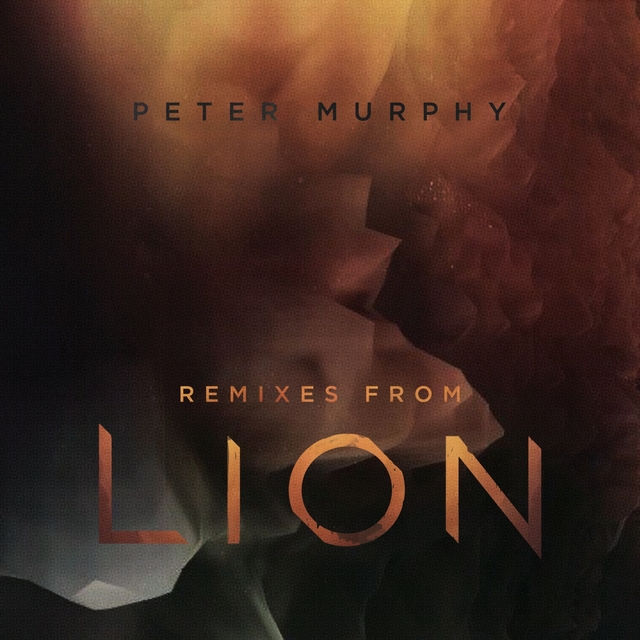 Couverture de Remixes from Lion