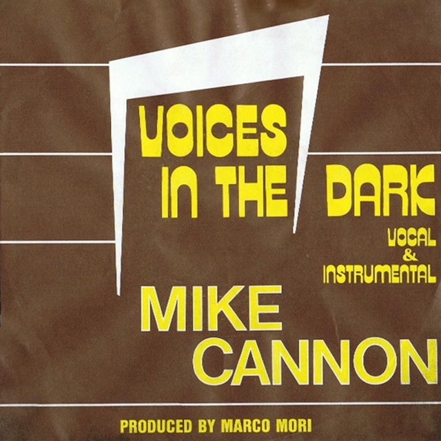 Couverture de Voices In The Dark