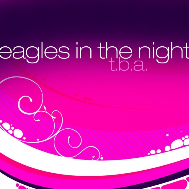 Eagles In the Night