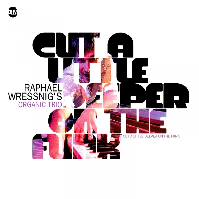 Couverture de Cut A Little Deeper On The Funk