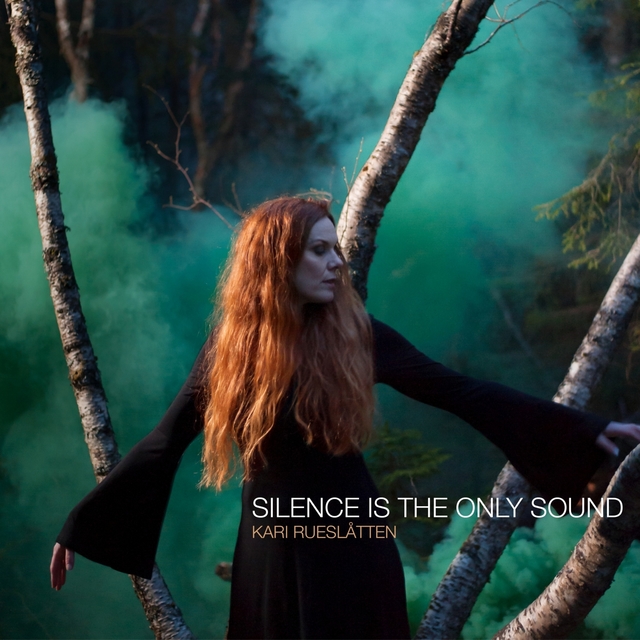 Couverture de Silence Is the Only Sound