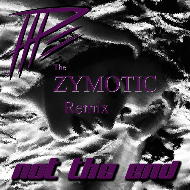 Couverture de Not the End (Zymotic Remix) [Short Version]