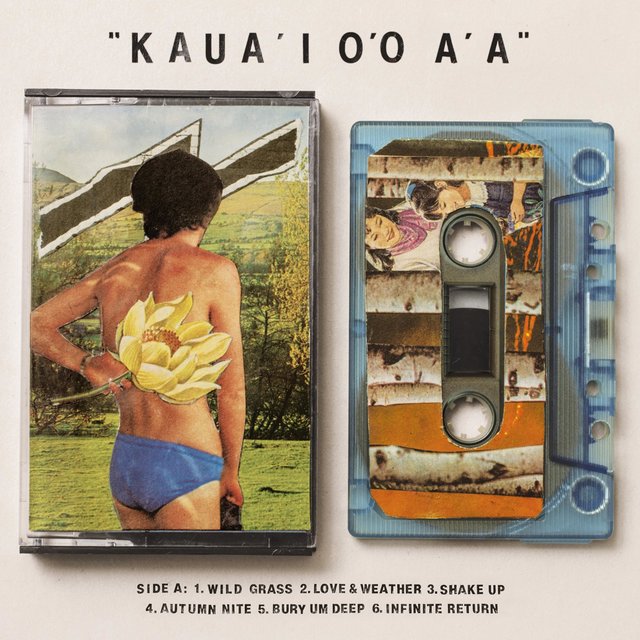 Couverture de Kaua'i O'o A'a