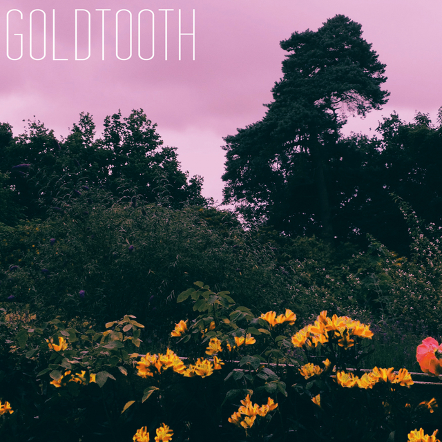 Couverture de Goldtooth