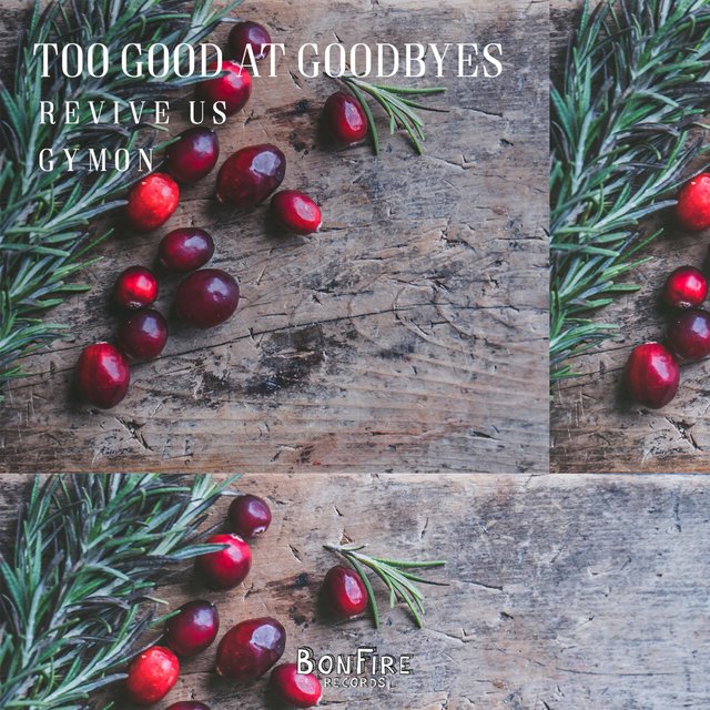 Couverture de Too Good at Goodbyes