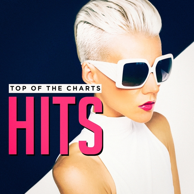 Couverture de Top of the Charts Hits