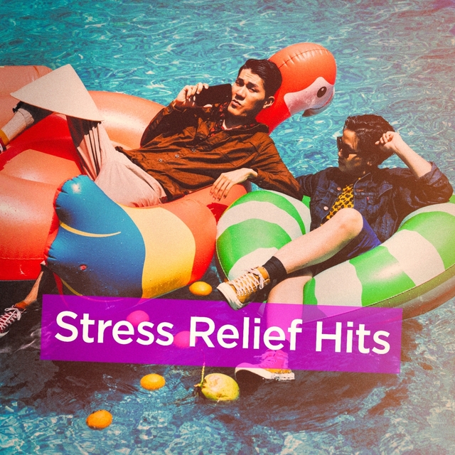 Couverture de Stress Relief Hits