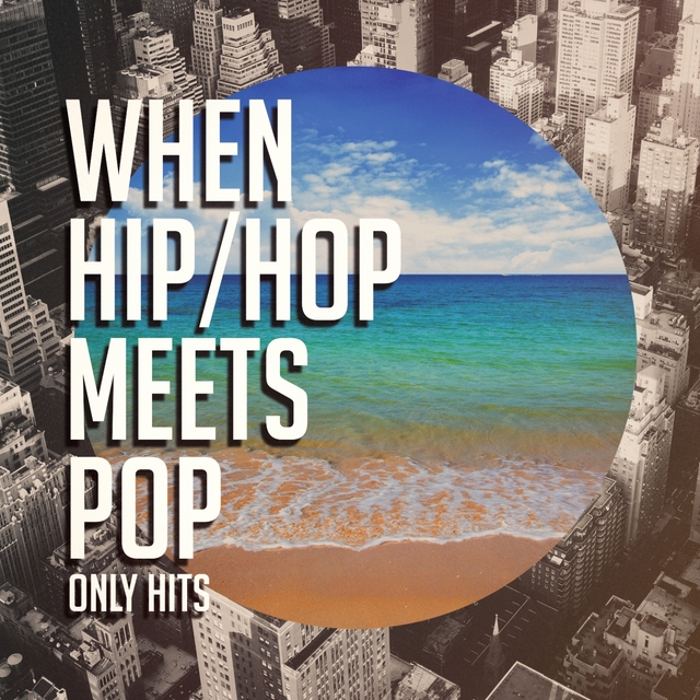 Couverture de When Hip-Hop Meets Pop (Only Hits)