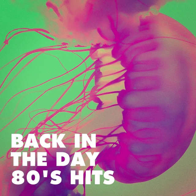 Couverture de Back in the Day 80's Hits