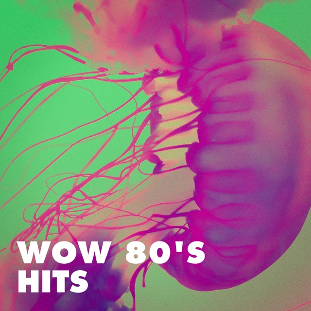 Couverture de Wow 80's Hits