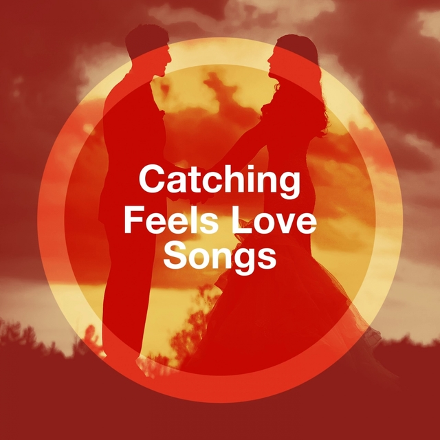 Couverture de Catching Feels Love Songs