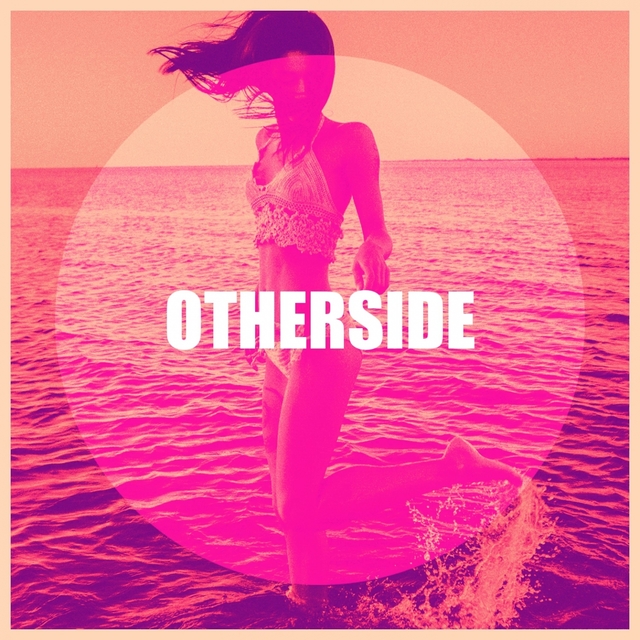 Couverture de Otherside