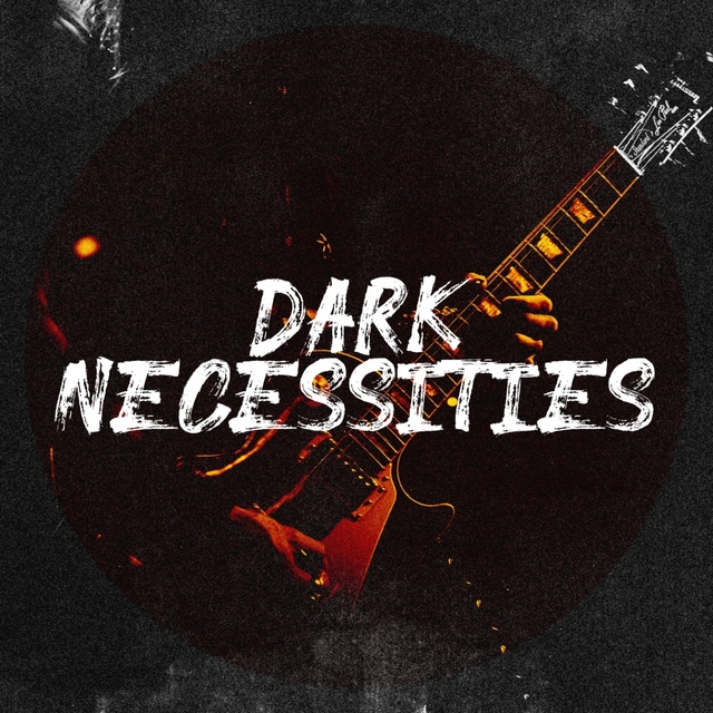 Couverture de Dark Necessities