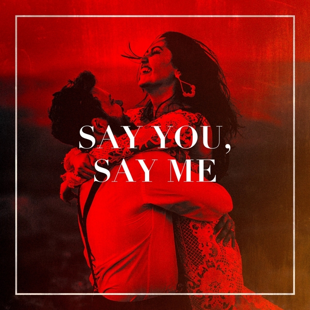 Couverture de Say You, Say Me