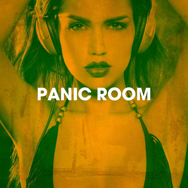 Couverture de Panic Room