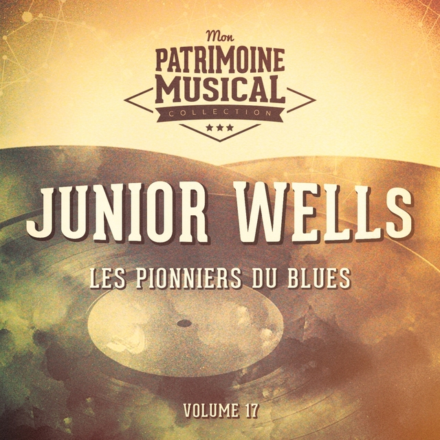 Couverture de Les pionniers du Blues, Vol. 17 : Junior Wells