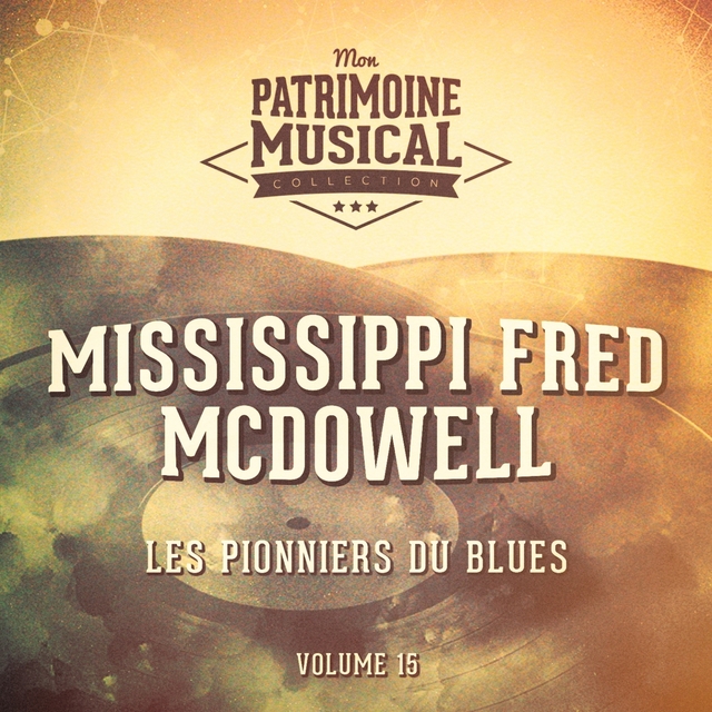 Couverture de Les pionniers du Blues, Vol. 15 : Mississippi Fred McDowell
