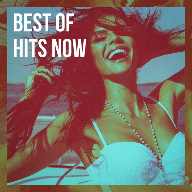 Couverture de Best of Hits Now