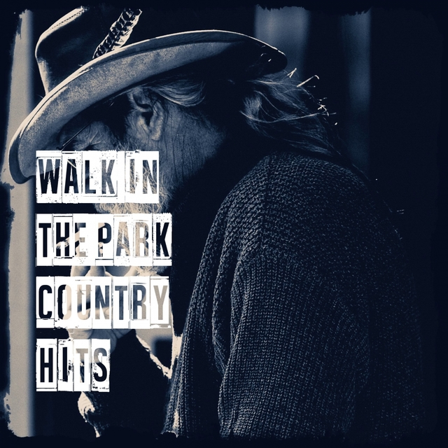 Couverture de Walk in the Park Country Hits