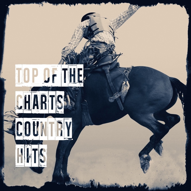 Couverture de Top of the Charts Country Hits