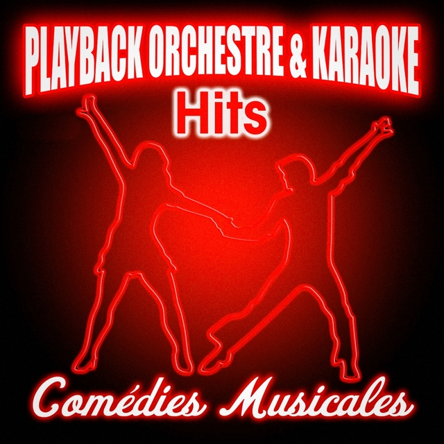 Couverture de Hits comédies musicales