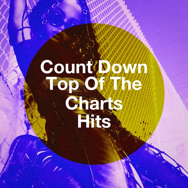 Couverture de Count Down Top Of The Charts Hits